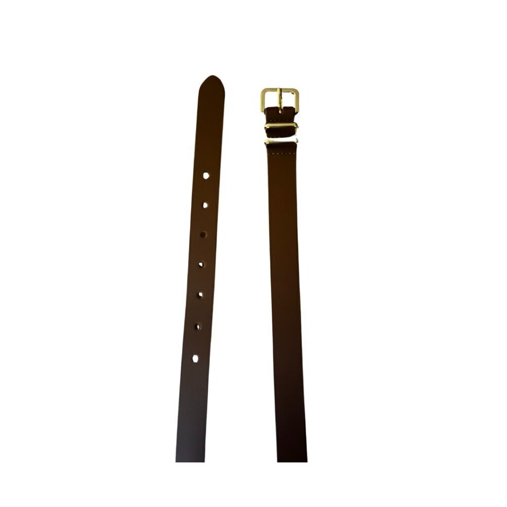 276. Abercrombie & Fitch Brown Square Buckle Belt | NWOT | Size L/XL | Leather - Picture 2 of 2